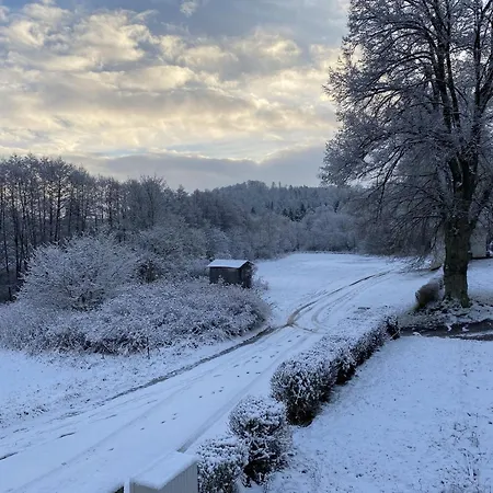 Holiday home Detached Holiday Home In The Harz With Wood Stove *