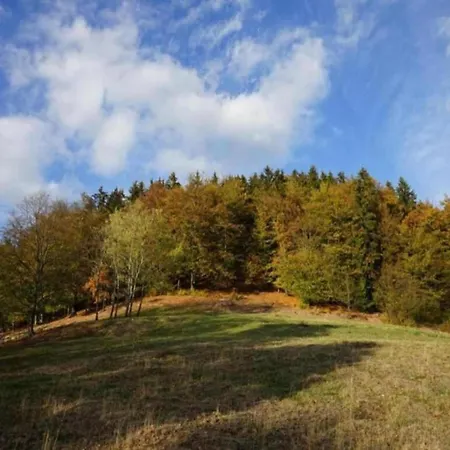 Detached Holiday Home In The Harz With Wood Stove * Guntersberge